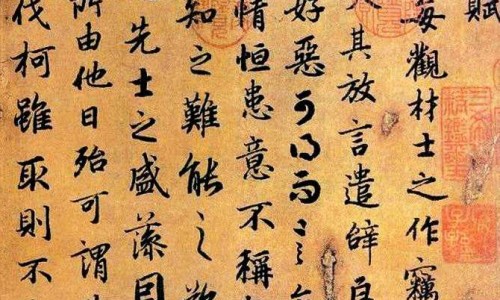百英是什么中药-中药百英图片网- 中药白英图片知识,分享中药材白英图片功效与作用
